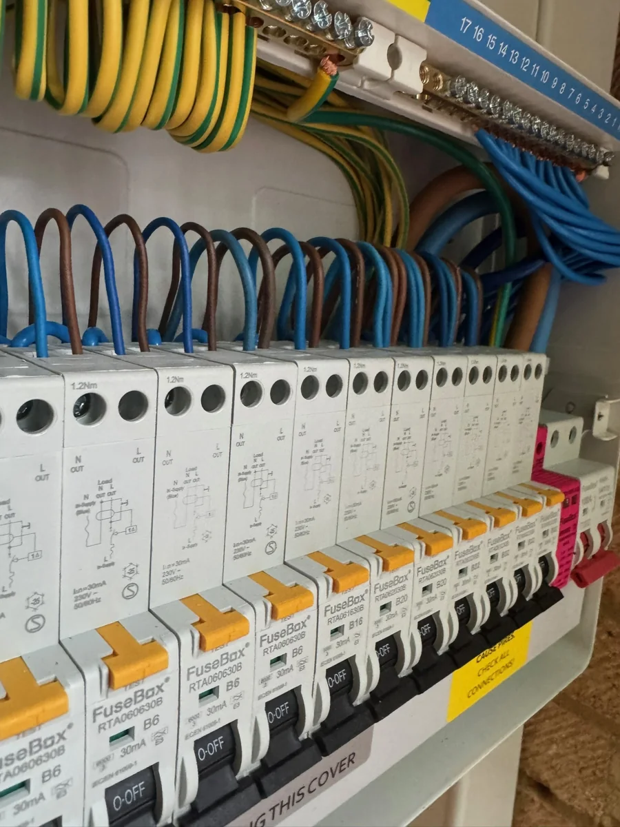 Carefully arranged wiring inside a consumer unit